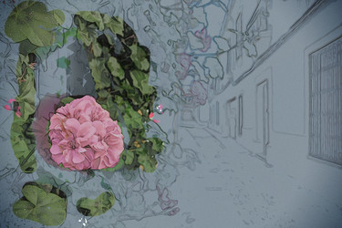 Similar image 13137339