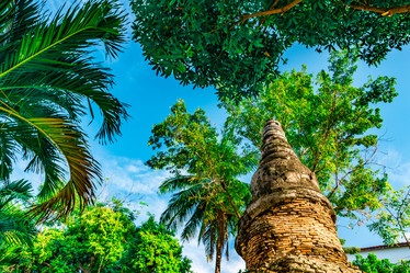 Similar image 13136080