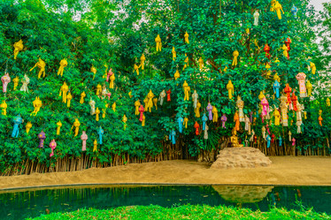 Similar image 13136178