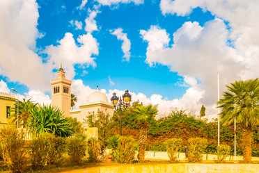 Similar image 13135441