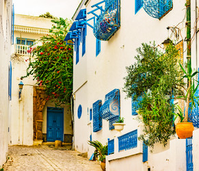 Similar image 13135460