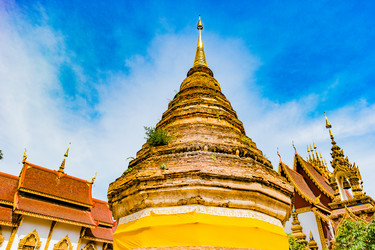 Similar image 13135541