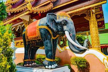 Similar image 13135554