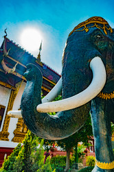 Similar image 13135572