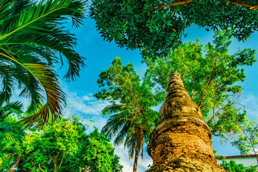 Similar image 13135785