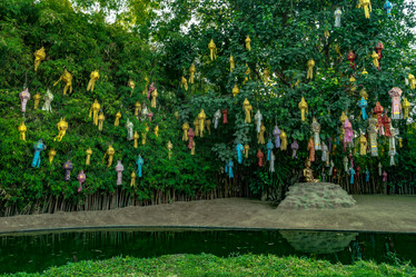 Similar image 13135826