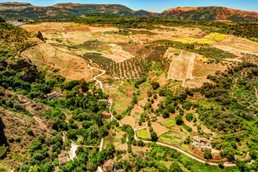 Similar image 13135406