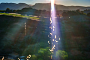 Similar image 13135482