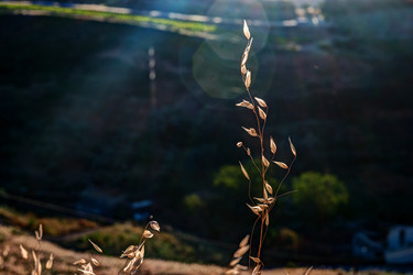 Similar image 13135503