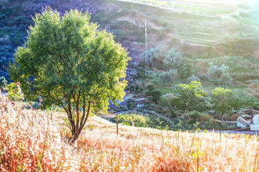 Similar image 13135696