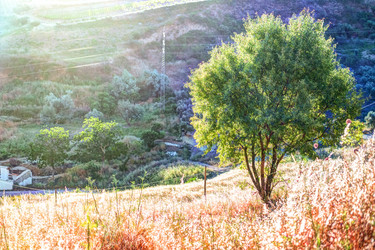 Similar image 13135697