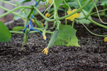 Similar image 13121869