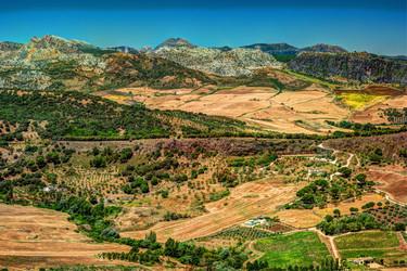 Similar image 13137382