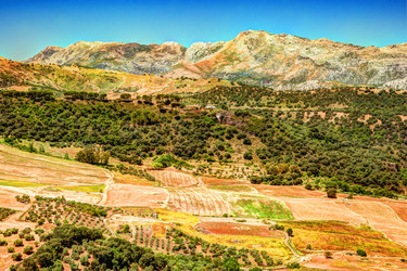 Similar image 13137403