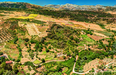 Similar image 13137461