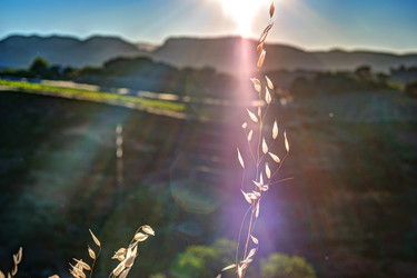 Similar image 13144935