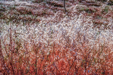 Similar image 13144951