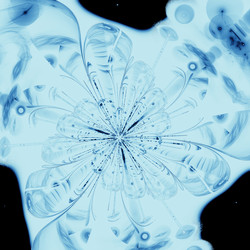 Similar image 13135146