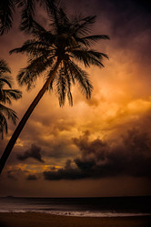 Similar image 13135093