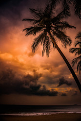 Similar image 13135157