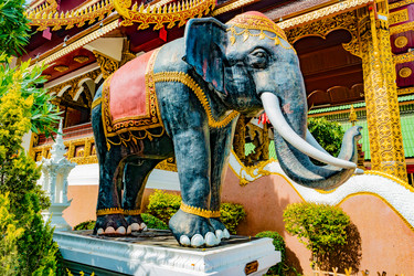 Similar image 13135215