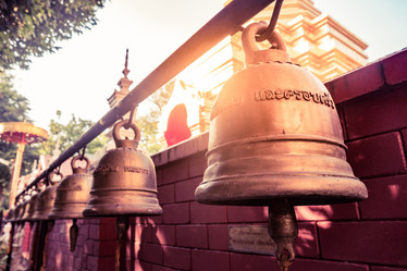 Similar image 13135052