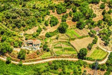 Similar image 13135206