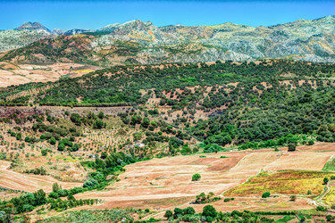 Similar image 13135216