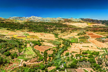 Similar image 13135217