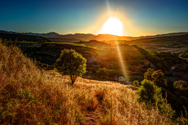 Similar image 13135301