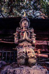 Similar image 13135338