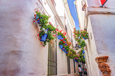 Similar image 13134974