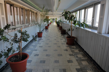 Similar image 13114138