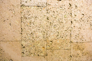 Similar image 13114144