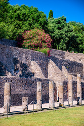 Similar image 13135638