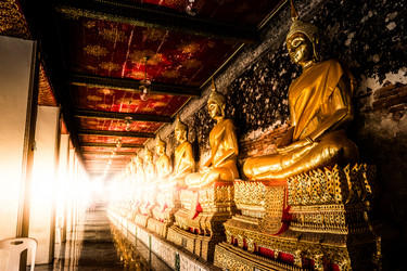 Similar image 13135730