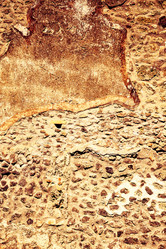 Similar image 13136219