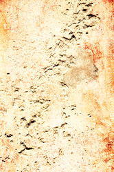 Similar image 13136258