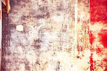 Similar image 13136281