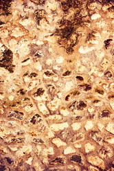 Similar image 13136319