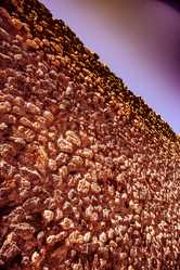 Similar image 13136338