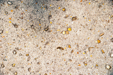 Similar image 13144936