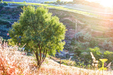 Similar image 13136785