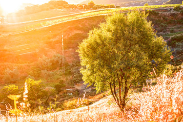 Similar image 13136804