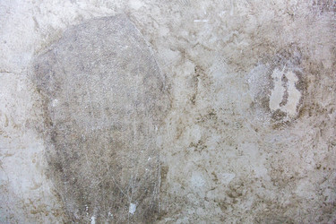 Similar image 13148182