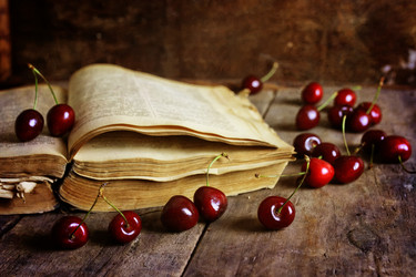 Similar image 13146119