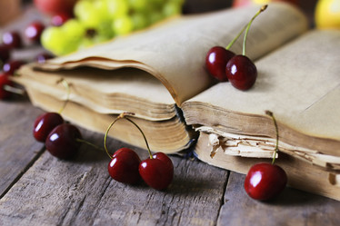 Similar image 13146155