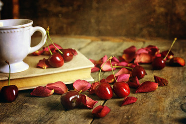 Similar image 13146180