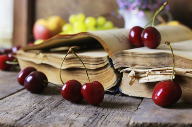 Similar image 13146221