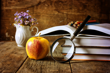 Similar image 13146280